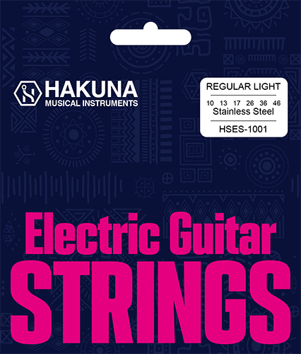 ���������HSES-1001