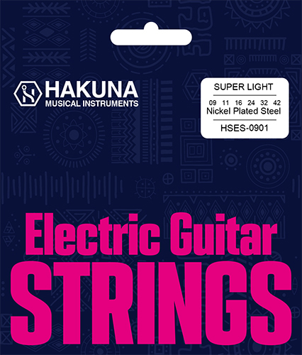 ���������HSES-0901